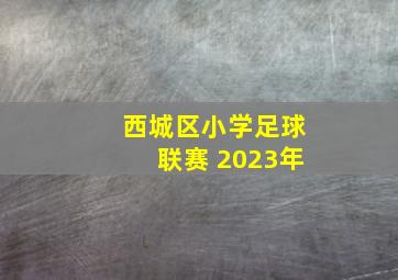 西城区小学足球联赛 2023年